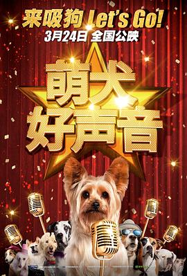 显卡风扇不转怎么办